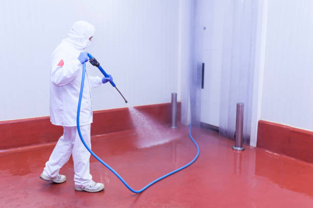 Professional Pressure Washing Services in Chamberlayne, VA