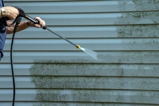 Best Building Exterior Washing  in Chamberlayne, VA